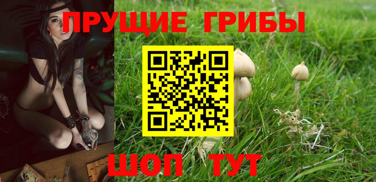 ТГК  ГАШ  Вход с VPN  Моздок  Как найти наркотики?  Марихуана  Мефедрон  