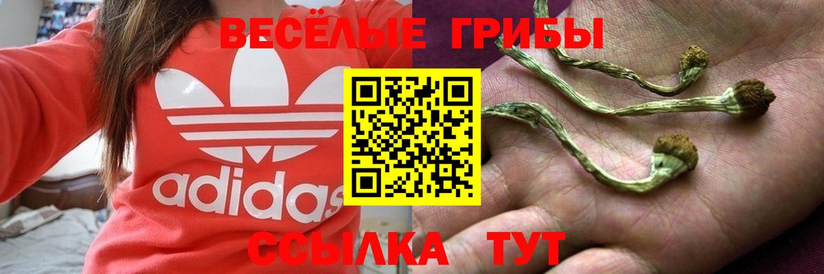 наркота  Вход с VPN  Моздок  Галлюциногенные грибы Magic Shrooms  Псилоцибиновые грибы Cubensis 